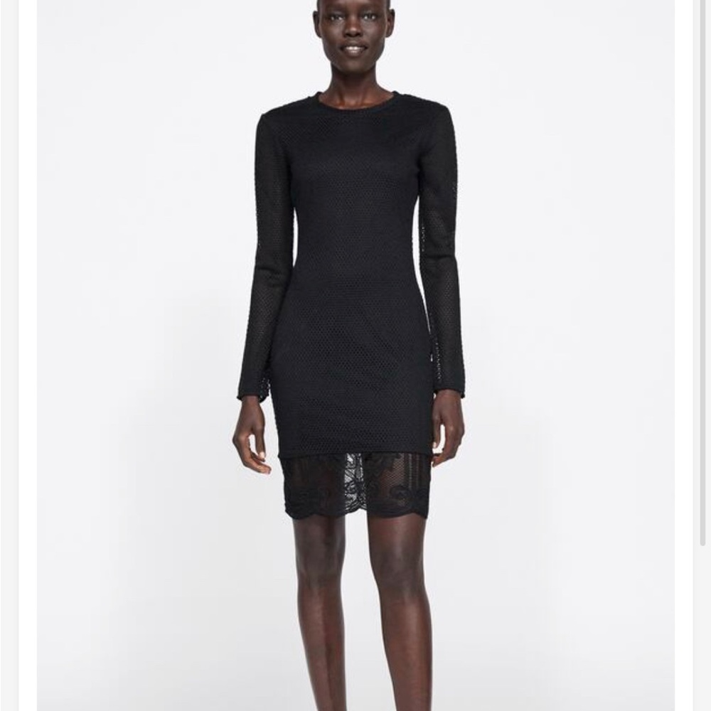 Zara mesh trim dress